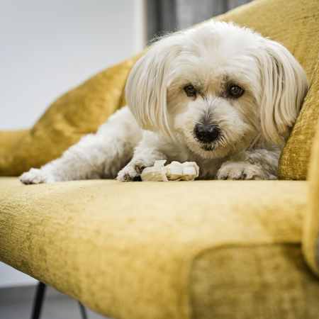 Fibre Guard szövetek